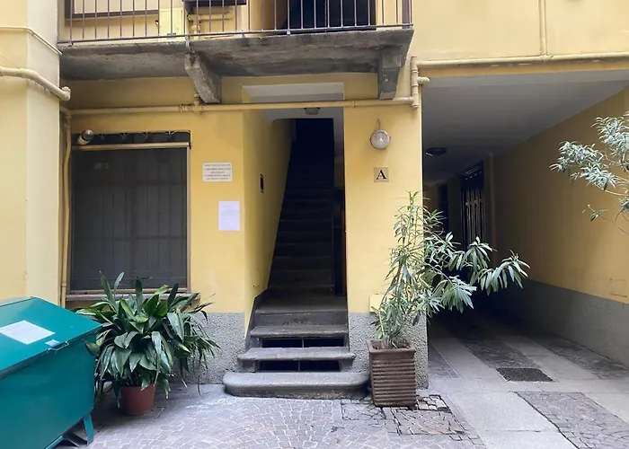 Bamboo Darsena